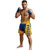 FIGHTERS - Muay Thai Shorts / K-1 / Bosnien-Bosna