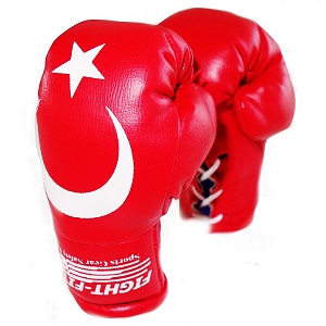 FIGHT-FIT - Mini Boxing Gloves / Turkey